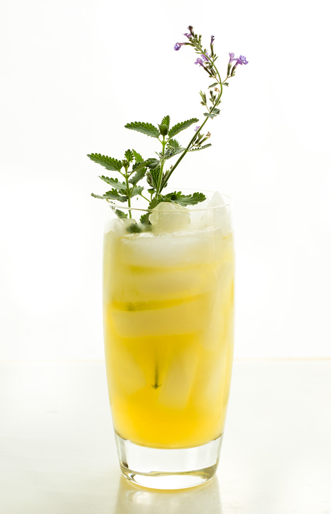 Honey Bourbon Lemonade